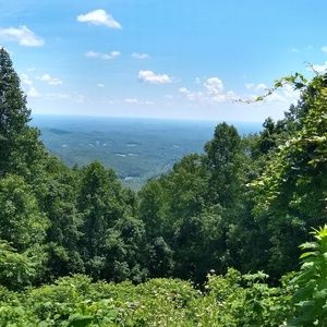 Meet your Posher, Lacie